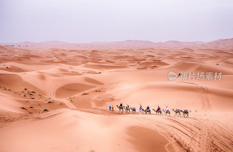 游牧的图阿雷格部落(柏柏尔人)与骑骆驼的人穿越摩洛哥的撒哈拉沙漠