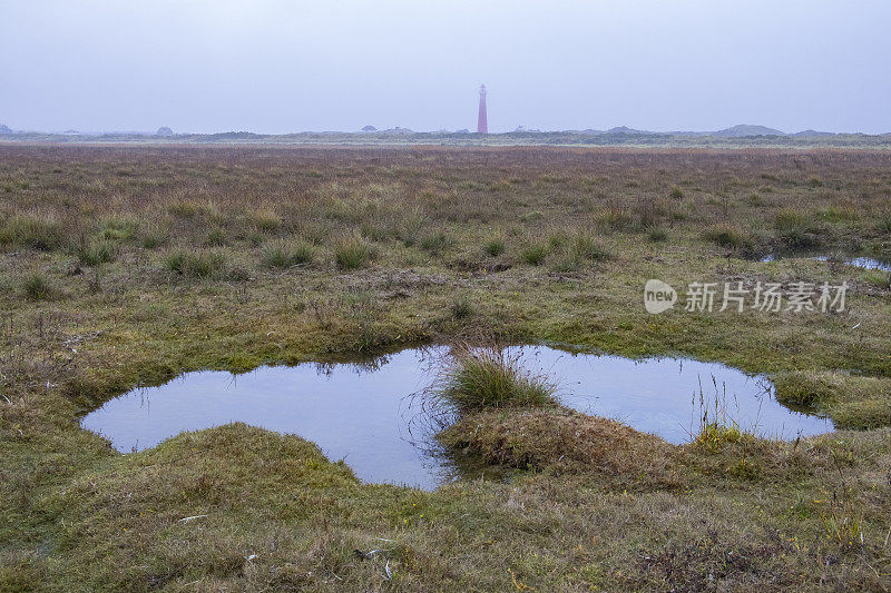 Schiermonnikoog岛的北海海滩上有新的沙丘