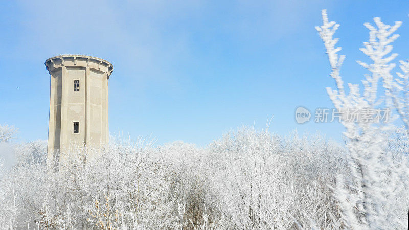 晴朗的冬季天空，高大的塔和覆盖着霜雪的植物-冬日景观