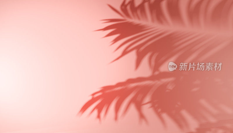 阴影热带树叶棕榈或蕨类在柔和的粉红色背景。时尚的设计风格。模糊的棕榈叶阴影墙柔和的粉色背景。本空间