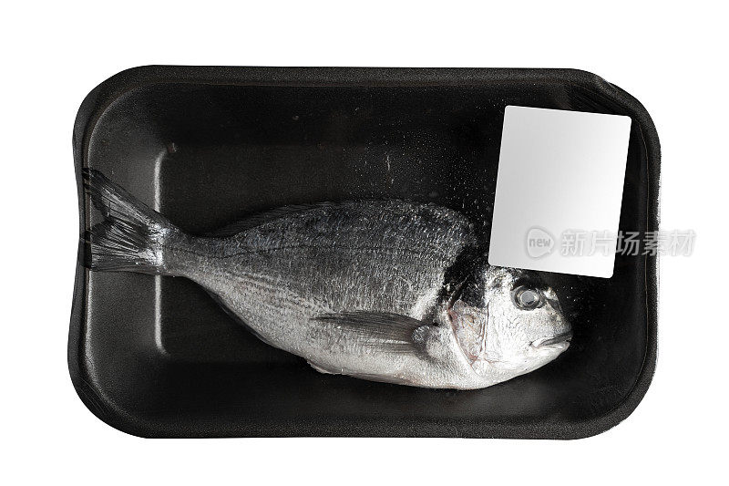 一个新鲜的海鲷在黑色透明黑色真空包装与空白白色标签隔离的背景