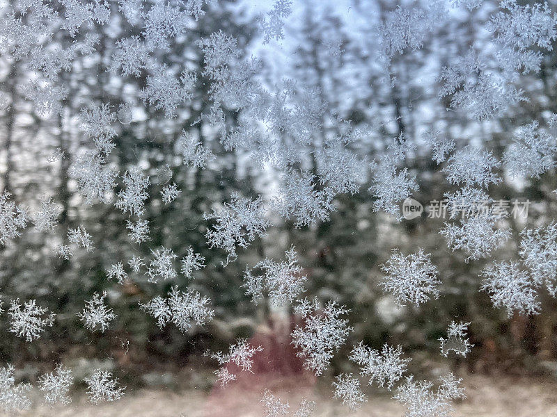 雪花，自然而寒冷