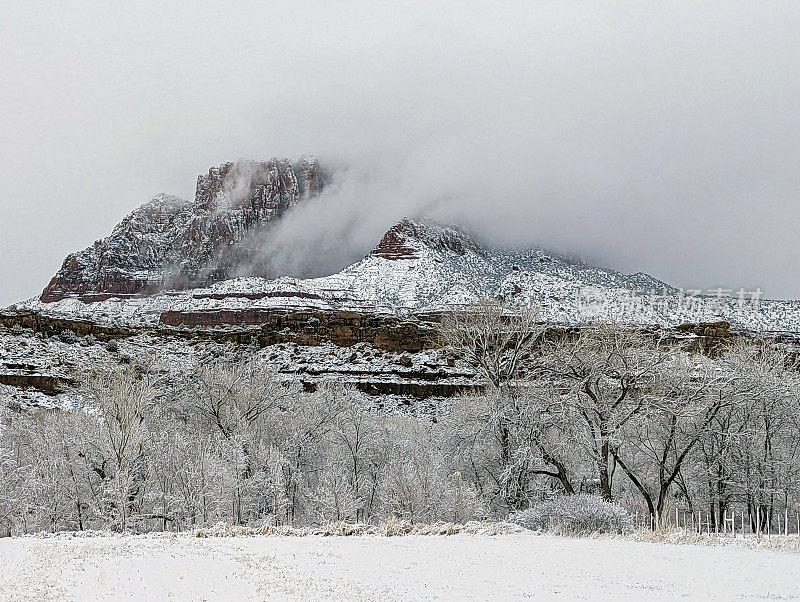 在犹他州洛克维尔的格拉夫顿路上，冬天被雪覆盖的牧场，背景是锡安国家公园