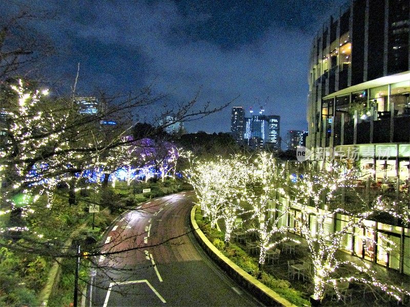 东京。日本。12月。圣诞节照明
