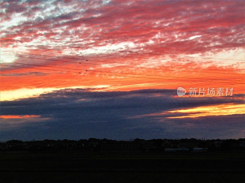 森林上空的夕阳。