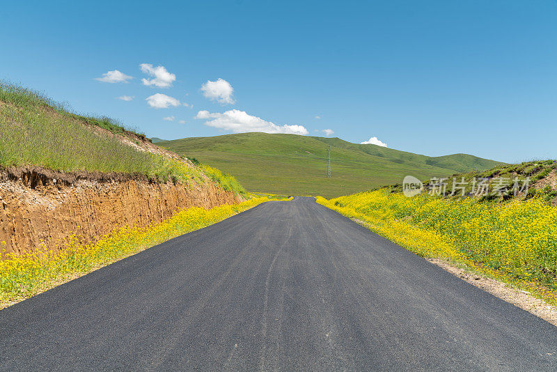 穿越草原的道路