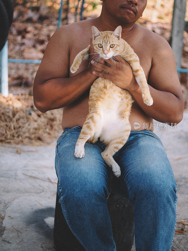 棕色的男人和橙色的猫在玩