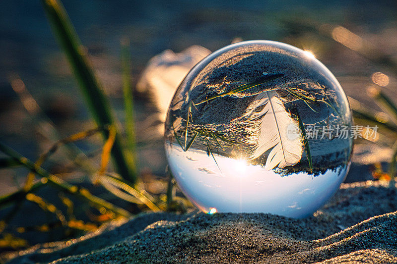 波罗的海海滩上的玻璃球，球上描绘了羽毛