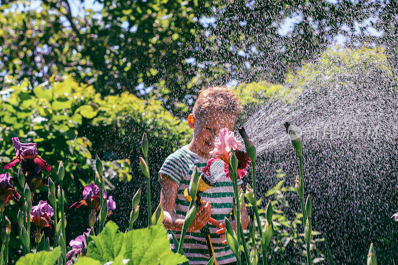 一个男孩在花园里玩得很开心，在夏天用水管浇水
