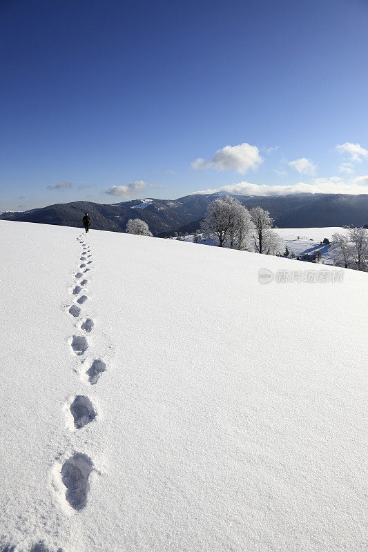 雪地上的脚印