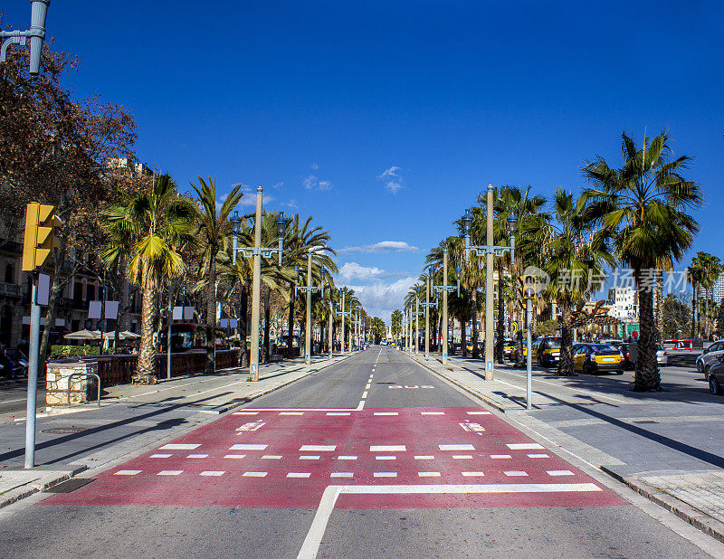 西班牙巴塞罗那的林荫大道上覆盖着棕榈树