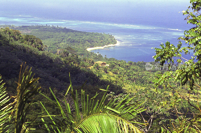 白沙海滩堡礁视角罗阿坦湾群岛洪都拉斯