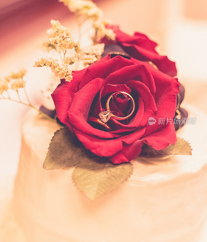 结婚戒指在红玫瑰
