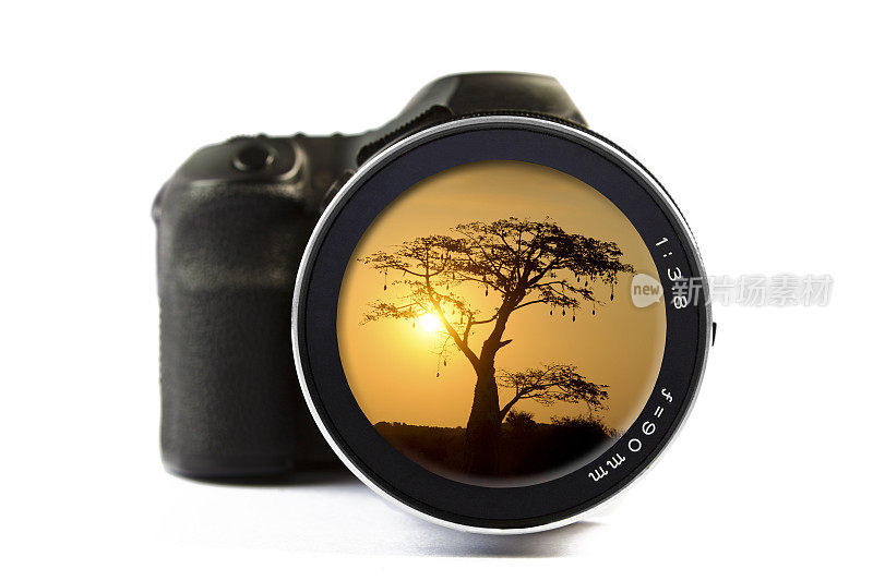 通过相机镜头看到的非洲金合相思树的日落