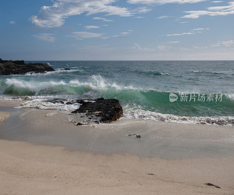 拉古纳海滩