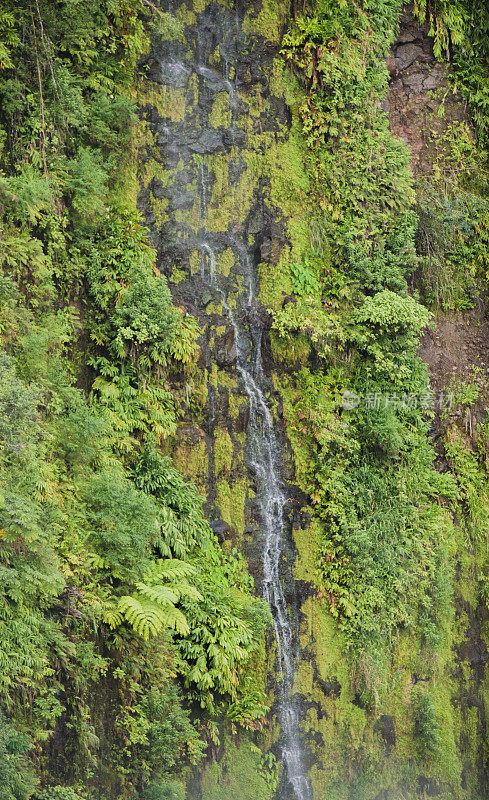阿卡瀑布涓涓风景优美的自然景观科纳夏威夷旅游目的地