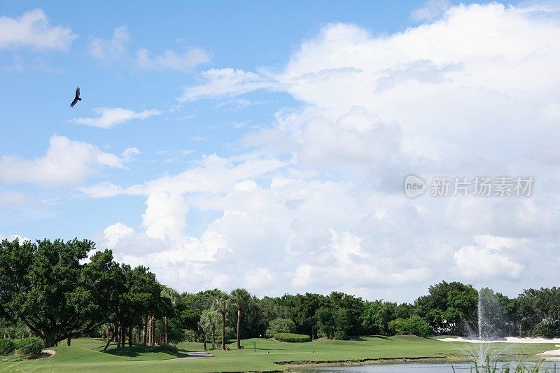 美丽的风景，夏天的景色。