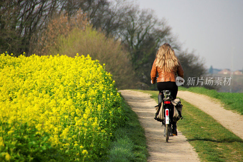 女人在自行车