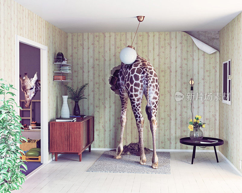 客厅里有长颈鹿