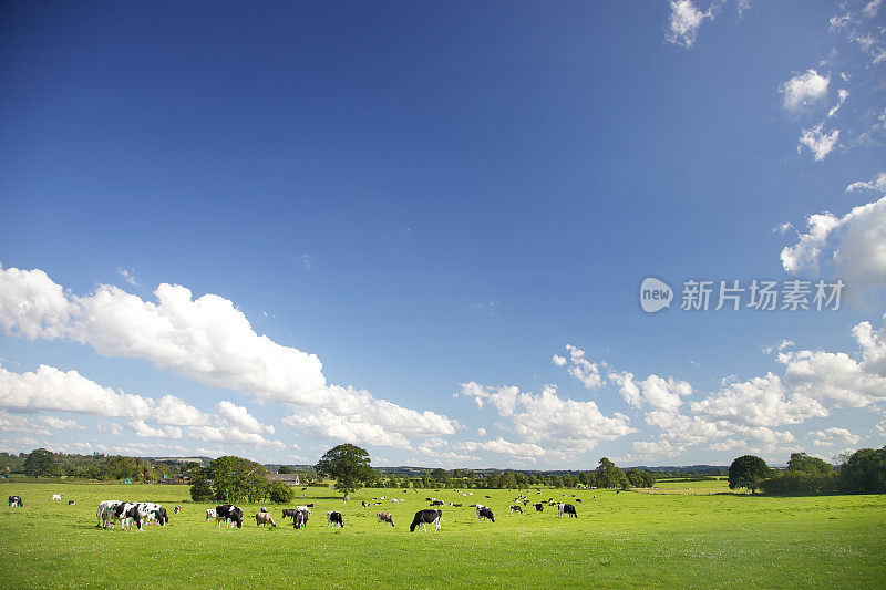 田园农场牧场