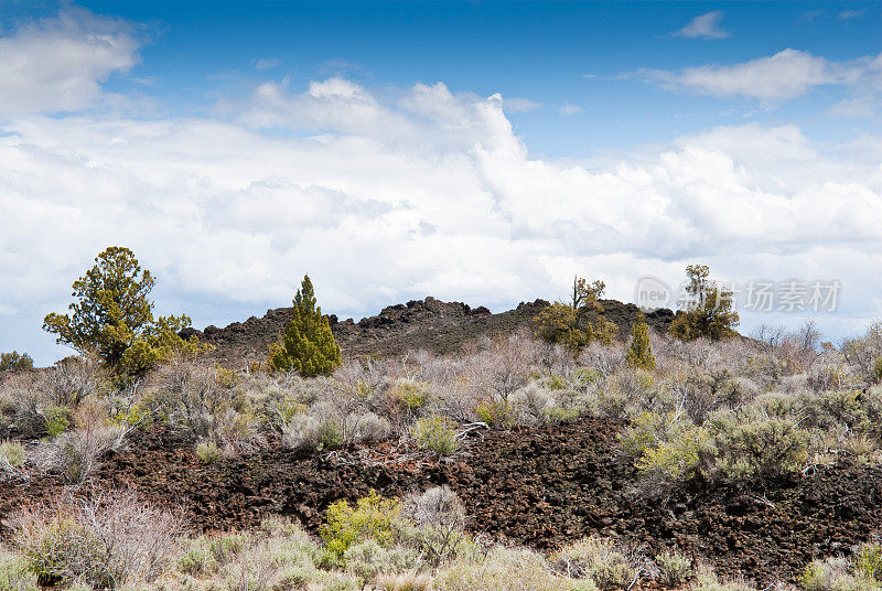 山艾树和黑火山口