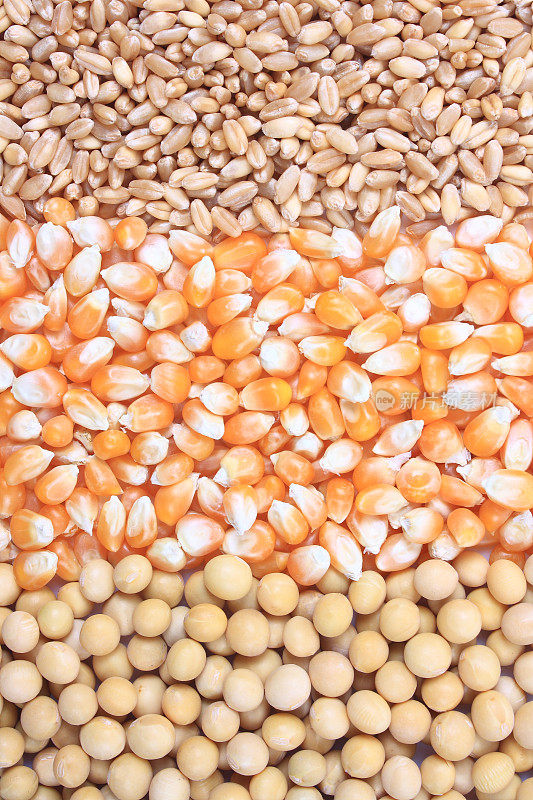 小麦，玉米和大豆