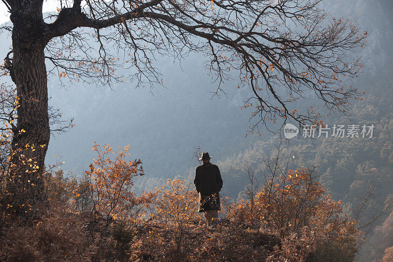 一个孤独的人站在秋天的树旁
