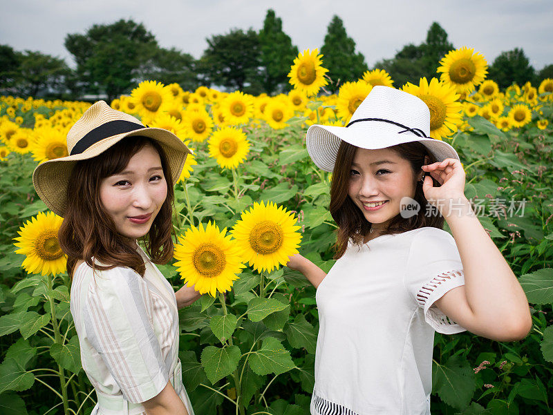 日本女人和向日葵