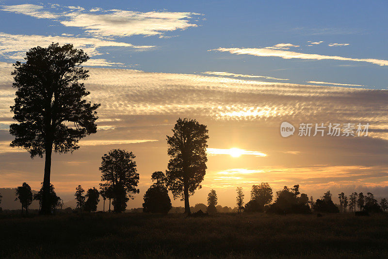 新西兰，南岛日落景观，福克斯冰川地区