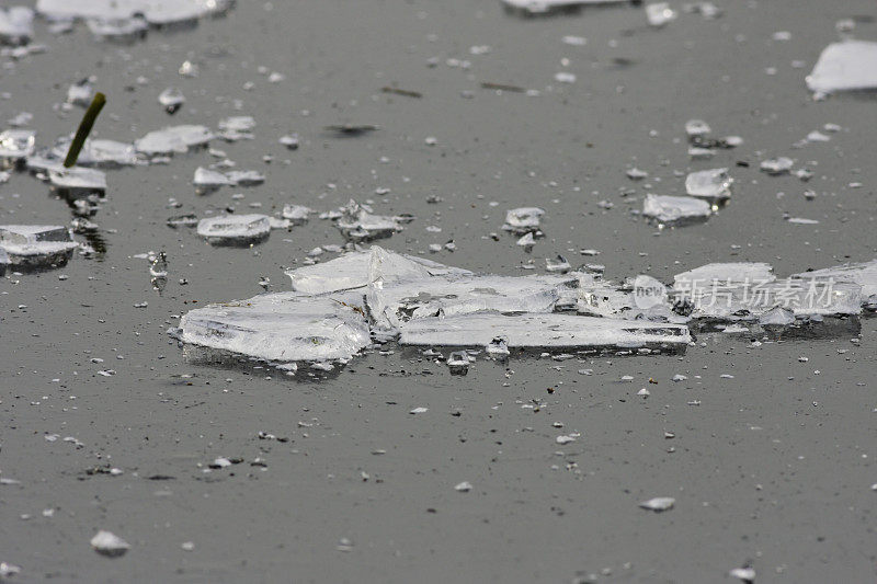冰碎片散落在冻结的池塘表面