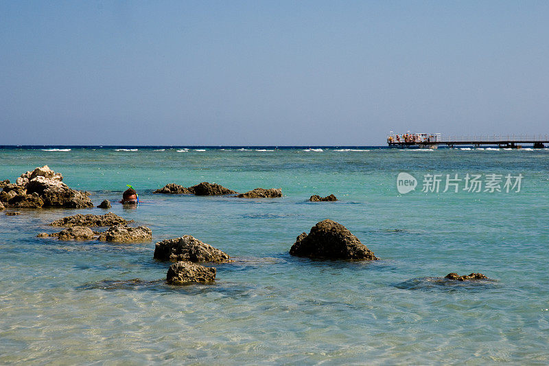 在埃及浮潜