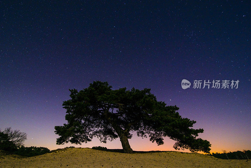 繁星闪烁的夜晚,