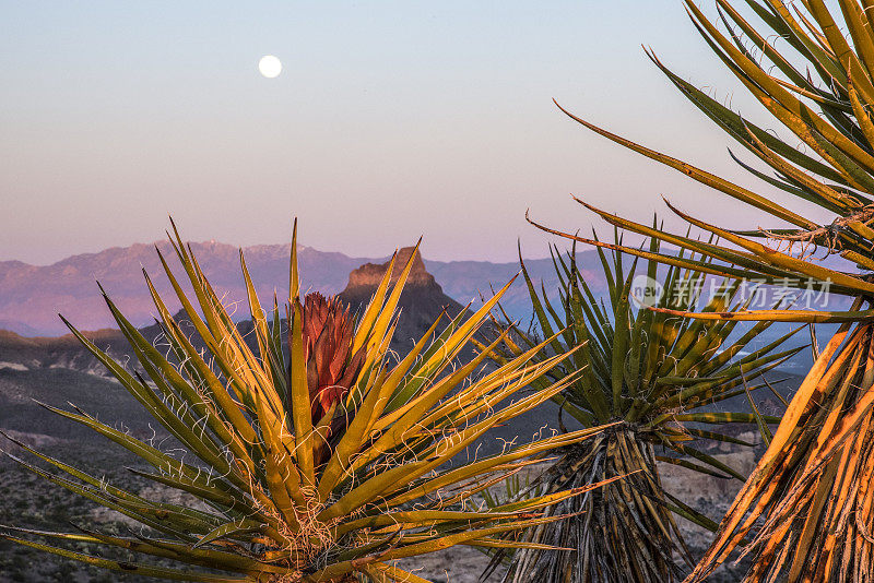 莫哈韦沙漠的月亮