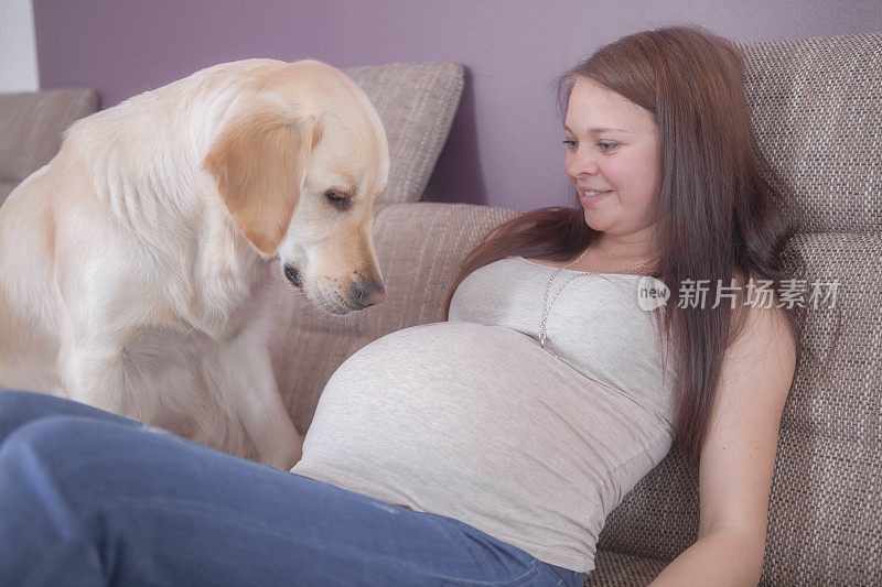 孕妇和狗