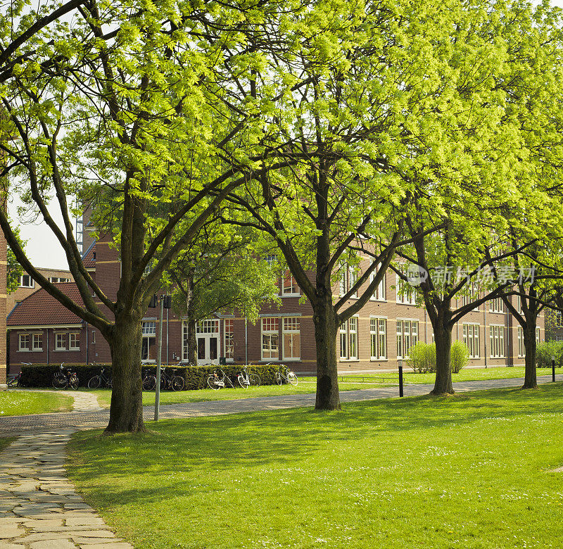 乌得勒支校园里的绿树成荫的小径