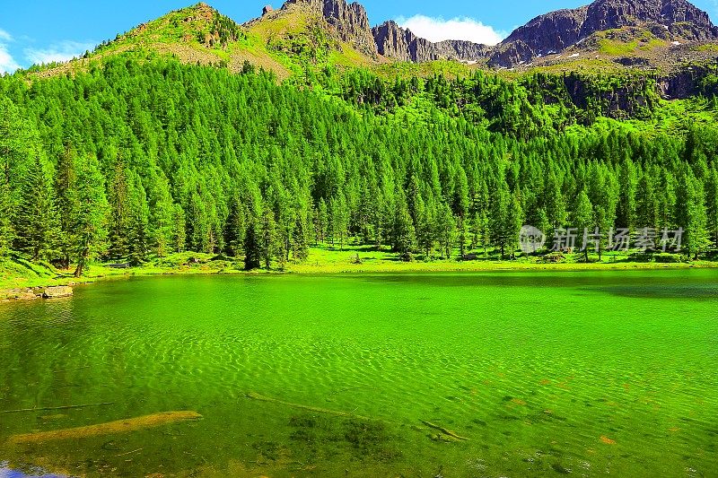 湖上白云石晶莹剔透，青松绿树叠翠