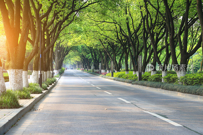 通往中国远郊的弯弯曲曲的道路