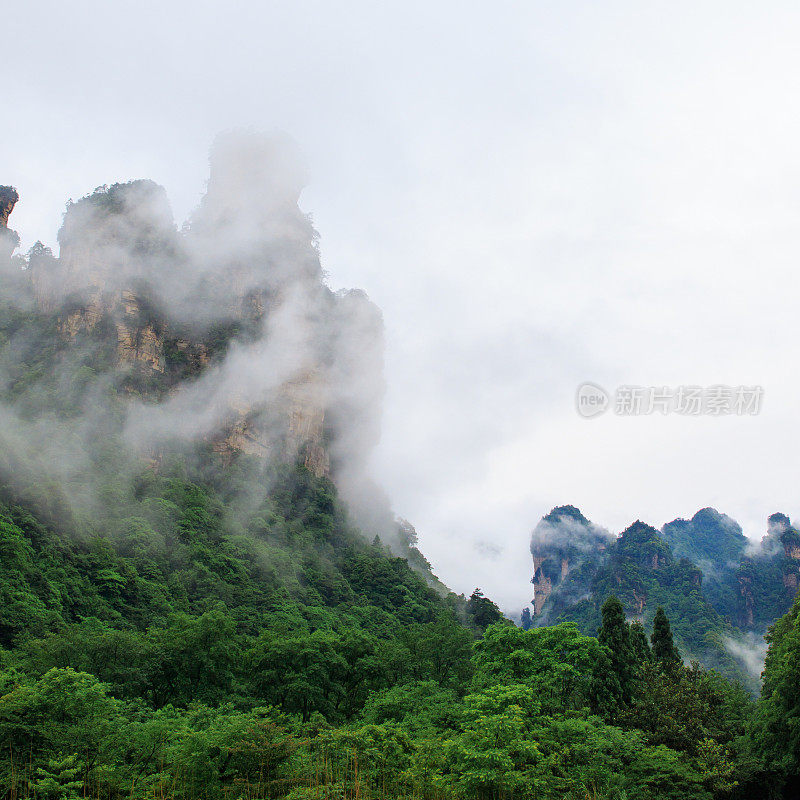 巨大的岩石山环绕着绿色的树木和白色的云雾。史诗山景观