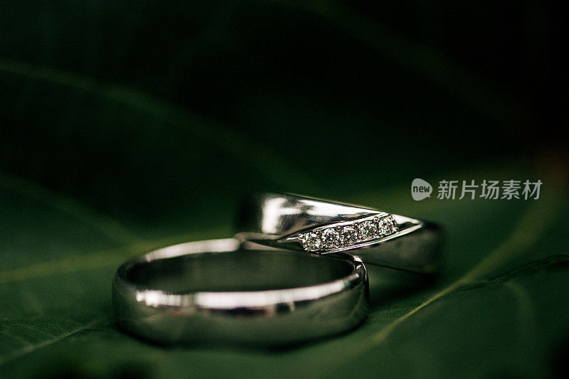 结婚戒指戴在绿叶上