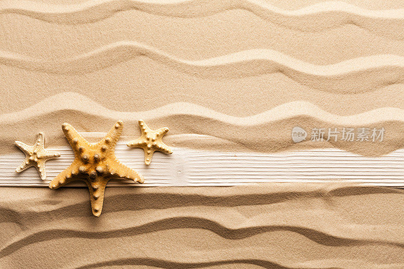 沙滩上有海星和木板