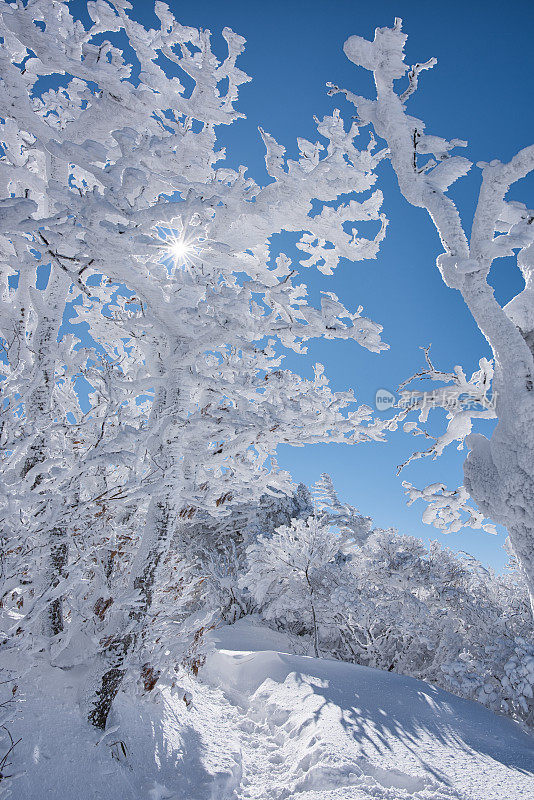 冬季徒步旅行