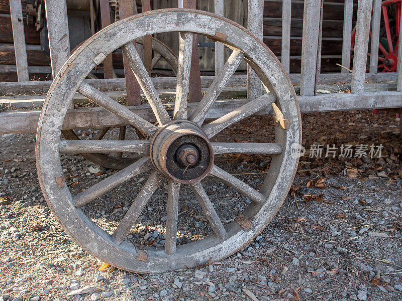 木制的轮子