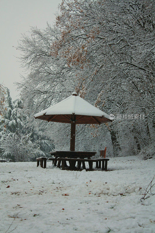 贝尔格莱德冬天的雪景