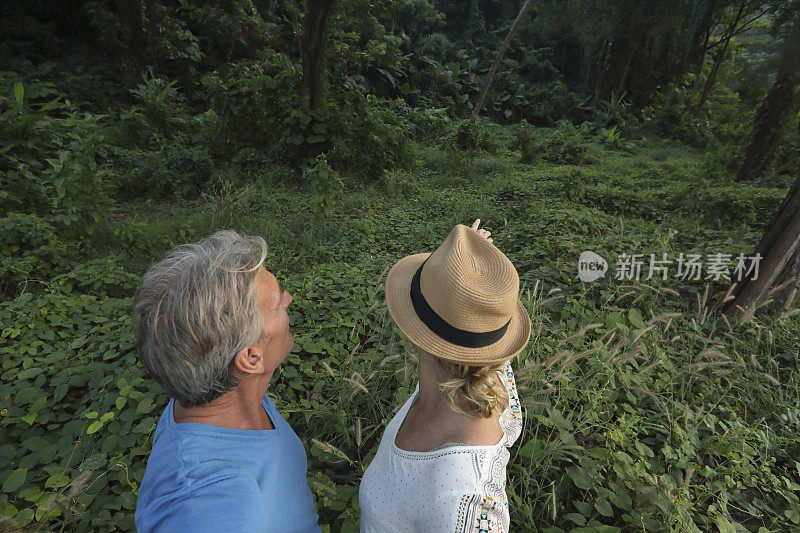 在探险过程中，一对夫妇凝视着丛林