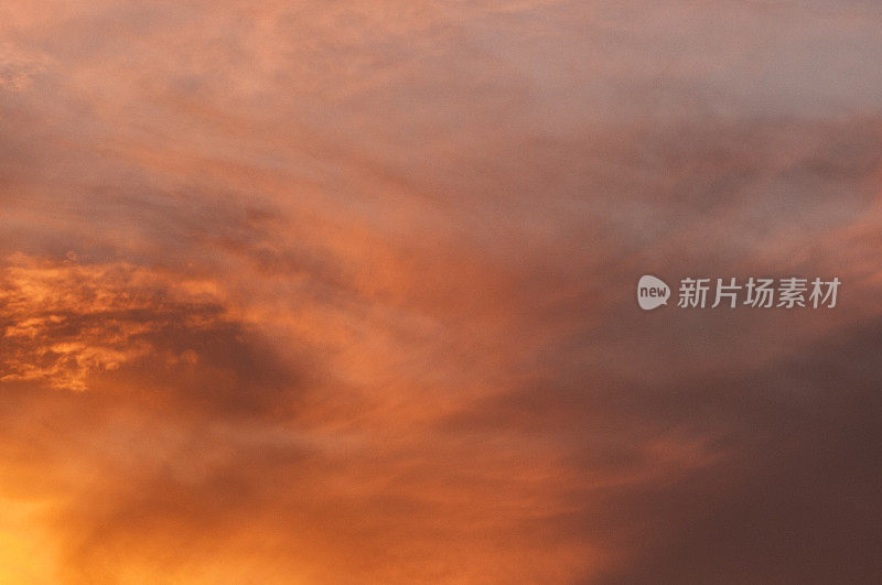 蒙特雷湾夕阳下的高空水鸟剪影