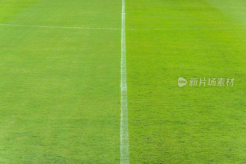 足球场里的绿草。足球场草地与体育场在蓝天的背景。