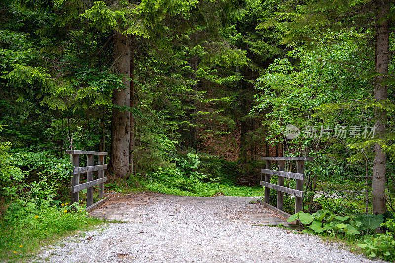 一条通往森林的奥地利徒步旅行小径。