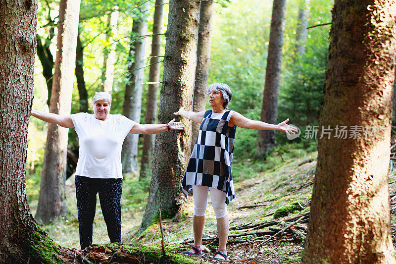 老年妇女在森林里锻炼:呼吸瑜伽