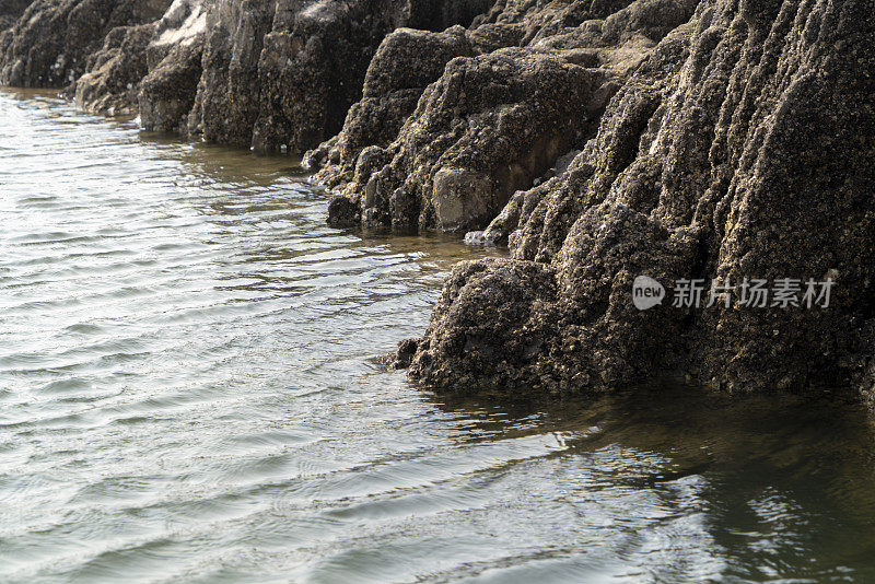 水边的贝壳礁