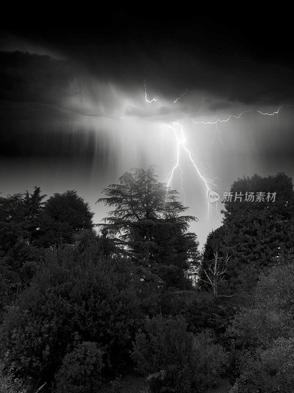 公园里的雷雨